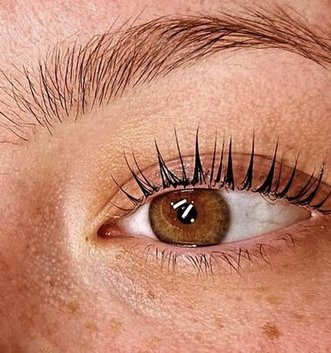 Eye lashes